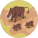 ALCIT CONSEJO SOLIS profile picture