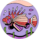 Quinn profile picture